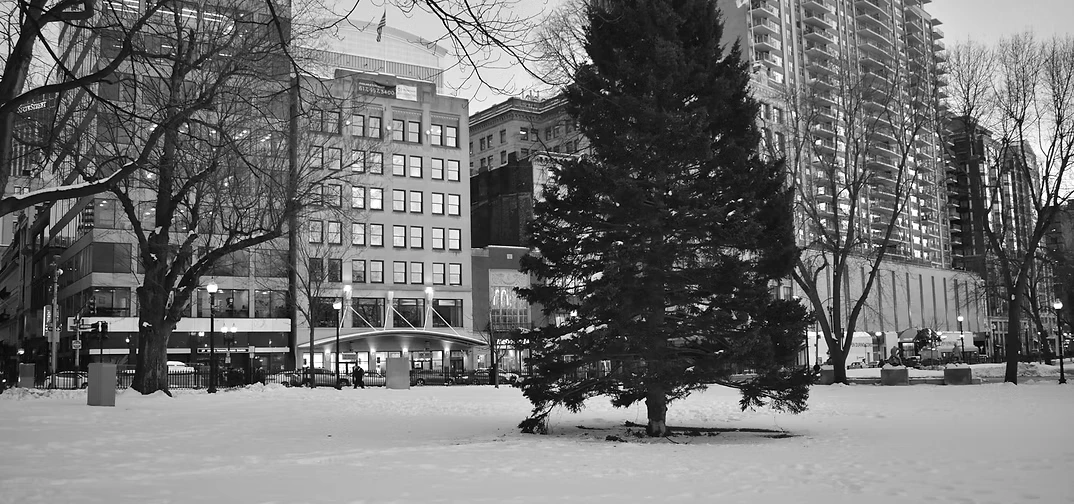 Winter on the North Shore